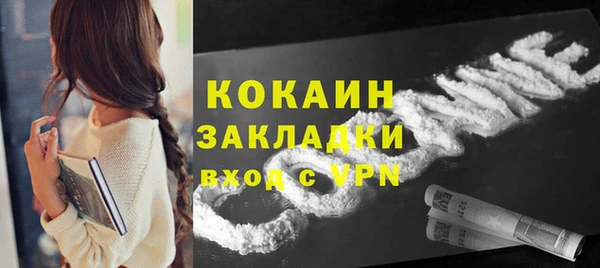 ГАЛЛЮЦИНОГЕННЫЕ ГРИБЫ Бородино