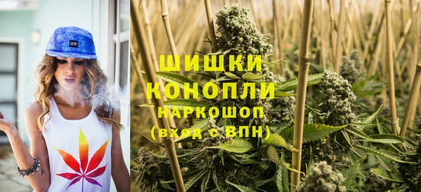 ГАЛЛЮЦИНОГЕННЫЕ ГРИБЫ Бородино