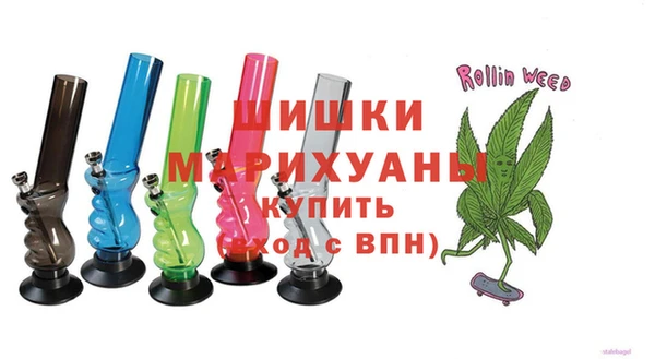 ГАЛЛЮЦИНОГЕННЫЕ ГРИБЫ Бородино