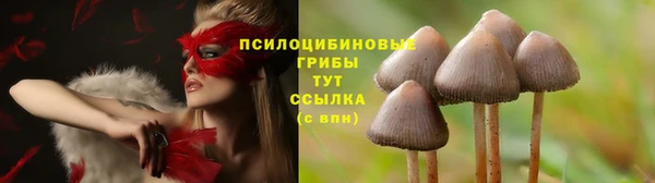 jwh Бронницы