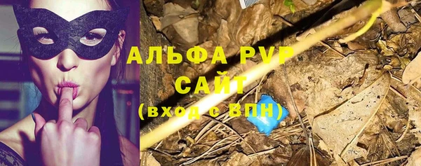 ГАЛЛЮЦИНОГЕННЫЕ ГРИБЫ Бородино