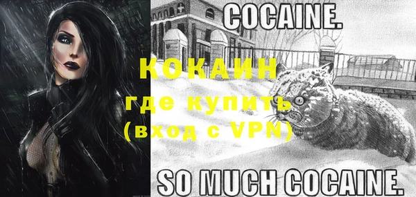 ГАЛЛЮЦИНОГЕННЫЕ ГРИБЫ Бородино