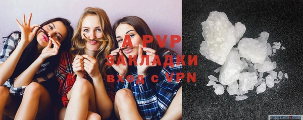 ГАЛЛЮЦИНОГЕННЫЕ ГРИБЫ Бородино