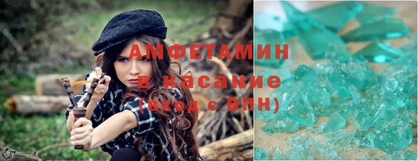 ГАЛЛЮЦИНОГЕННЫЕ ГРИБЫ Бородино