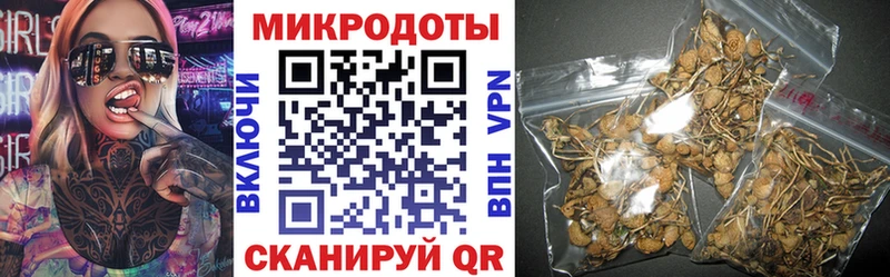 Псилоцибиновые грибы мицелий  Купить где  Невельск 